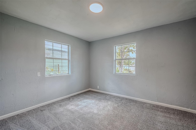 unfurnished room featuring carpet floors