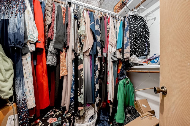 view of walk in closet