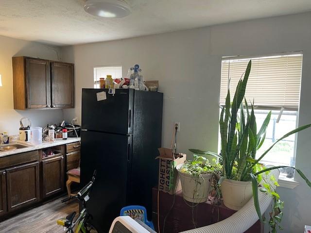 kitchen with black refrigerator, dark brown cabinets, and a wealth of natural light