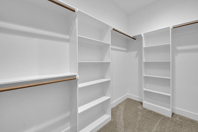 spacious closet featuring carpet floors