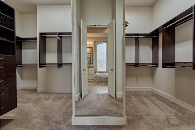 spacious closet with light carpet