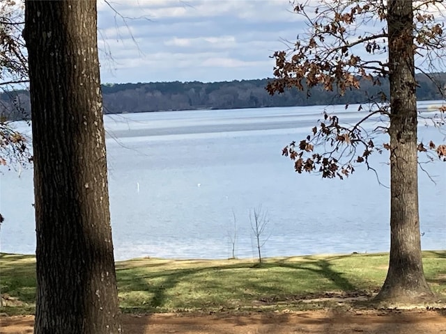 view of water feature