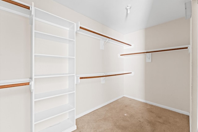 walk in closet with light carpet