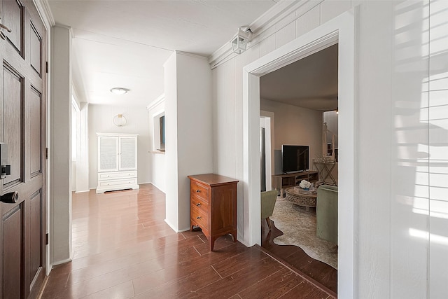 hall featuring ornamental molding and dark wood-type flooring