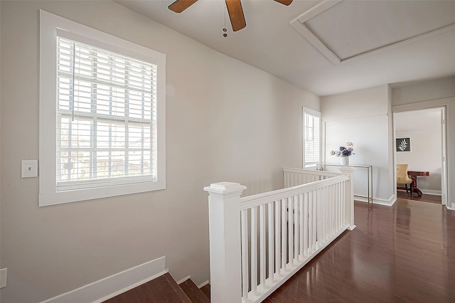 hall featuring dark wood-type flooring