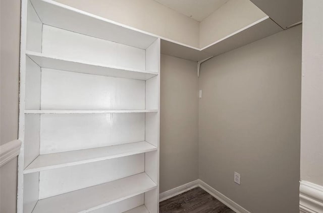 walk in closet with wood-type flooring