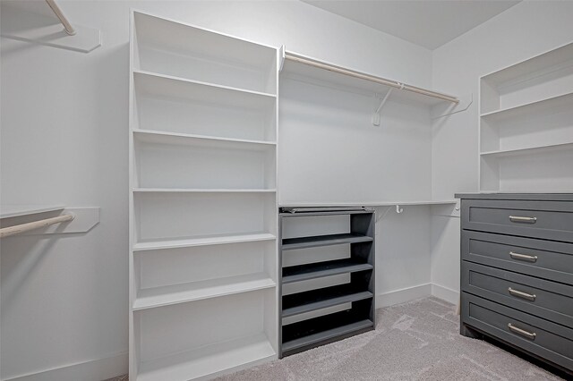 spacious closet with light colored carpet