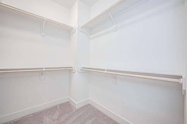 spacious closet with carpet flooring