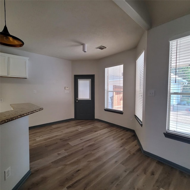 interior space featuring dark hardwood / wood-style floors