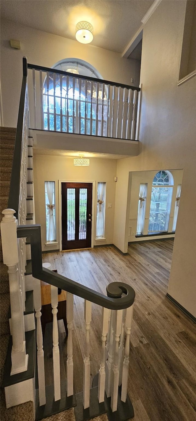 entrance foyer with hardwood / wood-style floors and a high ceiling