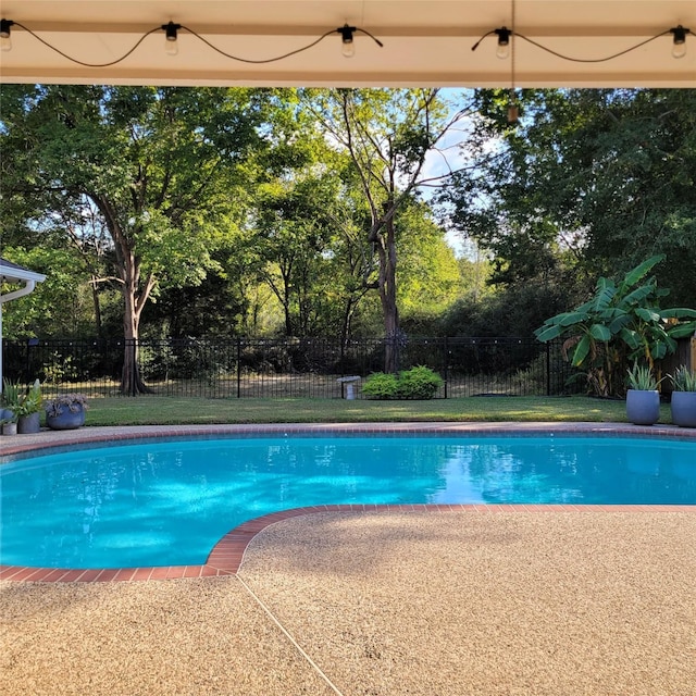 view of swimming pool featuring a lawn