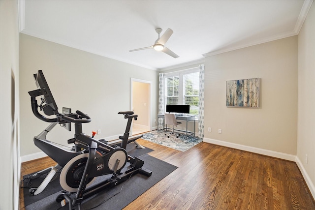 exercise room featuring dark hardwood / wood-style floors, ceiling fan, and ornamental molding