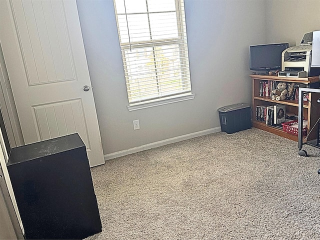 interior space featuring carpet and baseboards