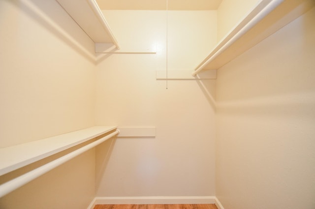 spacious closet featuring light hardwood / wood-style flooring