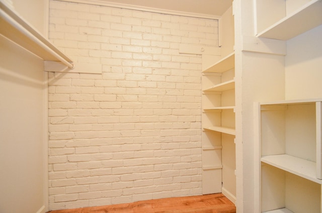 spacious closet featuring wood-type flooring