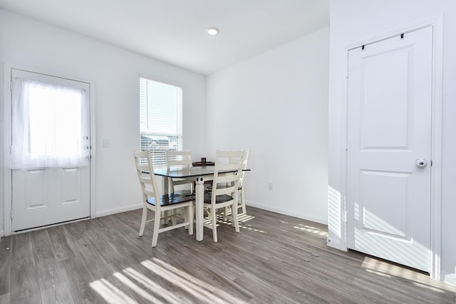 dining room with wood-type flooring