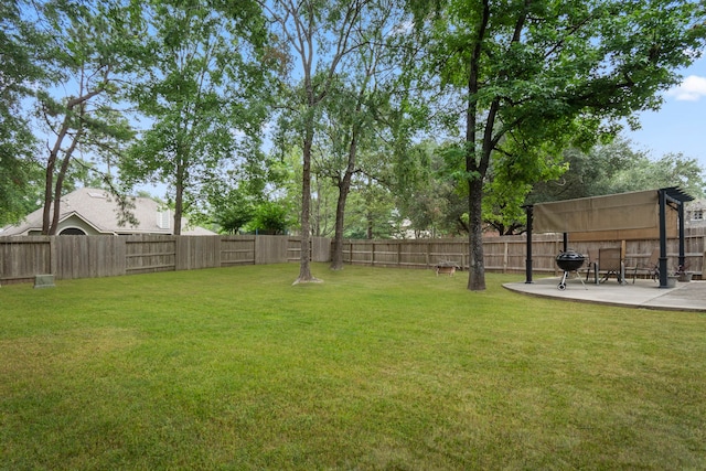 view of yard featuring a patio area