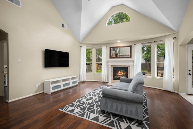 living room with a fireplace, dark hardwood / wood-style floors, plenty of natural light, and lofted ceiling