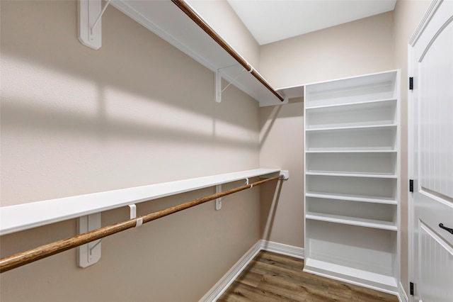 walk in closet featuring dark hardwood / wood-style floors