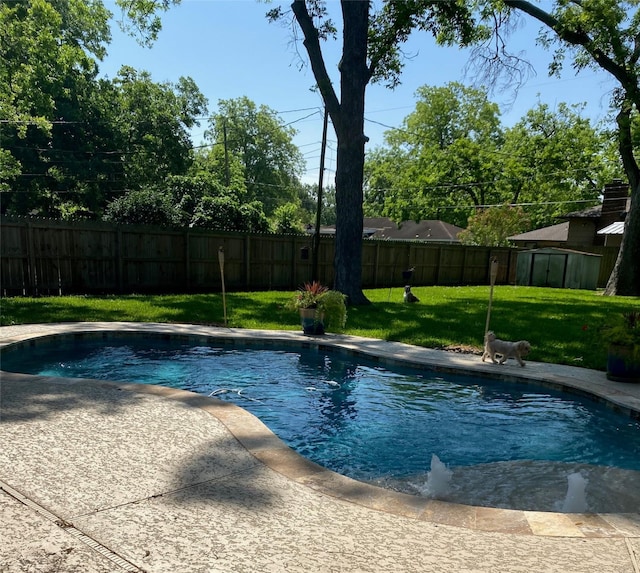 view of swimming pool with a yard