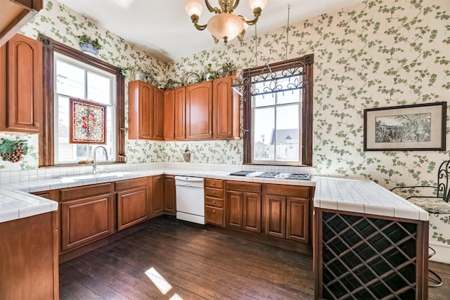 kitchen featuring dishwasher, an inviting chandelier, sink, tile counters, and dark hardwood / wood-style flooring