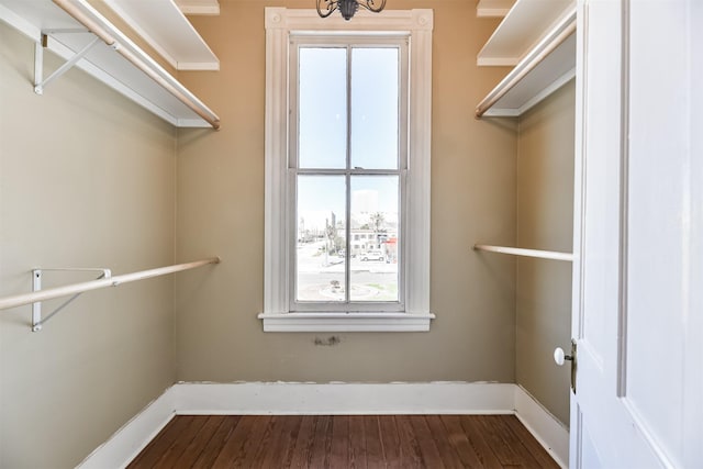 spacious closet with dark hardwood / wood-style floors and an inviting chandelier