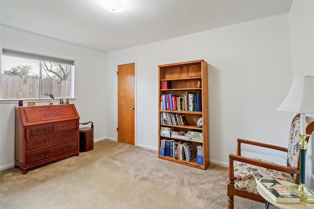 living area with light colored carpet