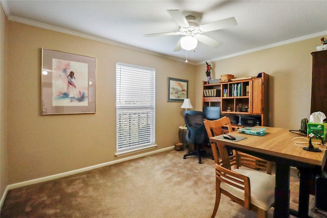 office space featuring ceiling fan, carpet, and ornamental molding