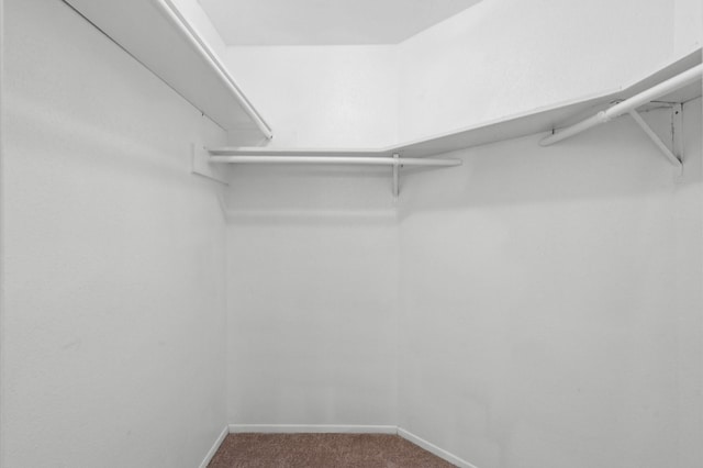 spacious closet with carpet flooring