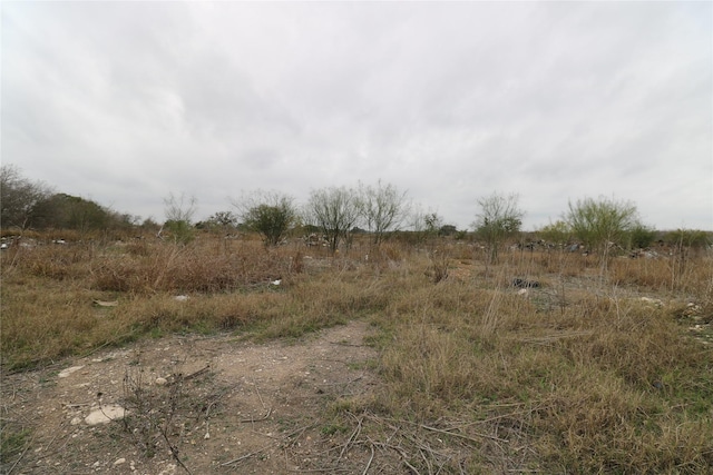 view of landscape featuring a rural view