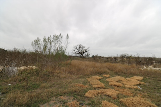 view of landscape with a rural view