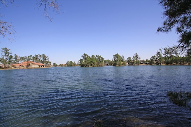 view of water feature