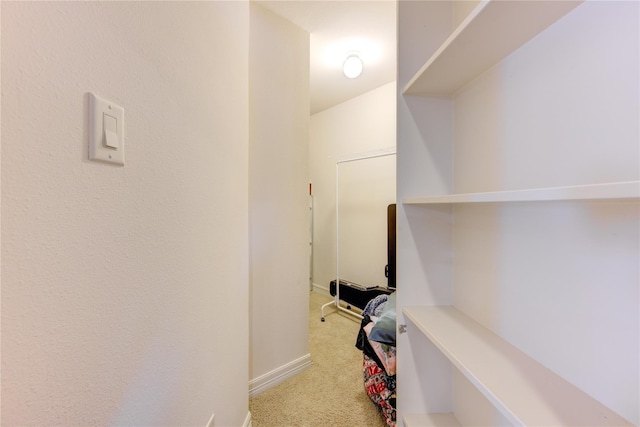 spacious closet with light colored carpet