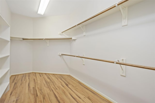 walk in closet with light wood-type flooring