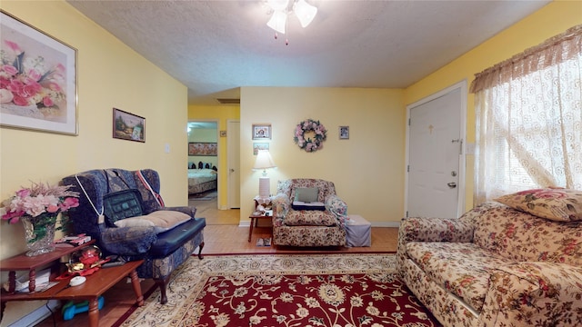 living room featuring a textured ceiling