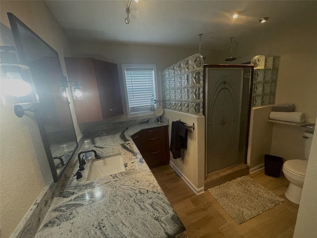 bathroom featuring a shower, toilet, vanity, and hardwood / wood-style flooring