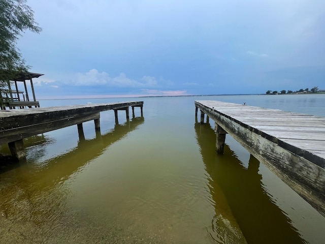 dock area with a water view