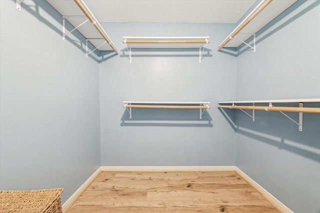 walk in closet featuring wood-type flooring