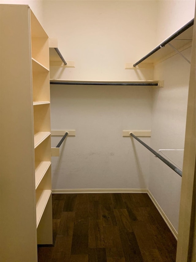 spacious closet with dark wood-type flooring