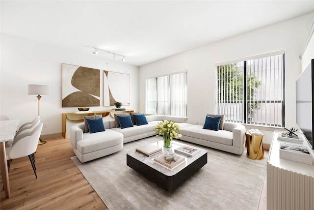 living room with hardwood / wood-style flooring