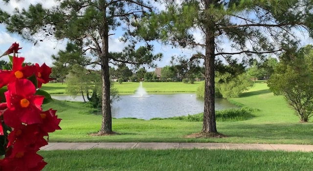 property view of water