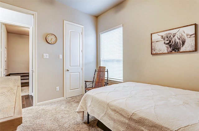 bedroom with carpet floors