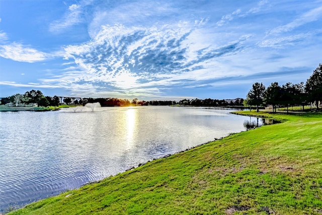 property view of water