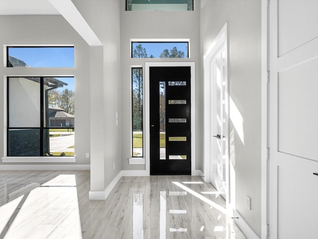 foyer featuring a high ceiling and light hardwood / wood-style flooring