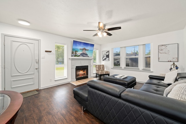 living room featuring ceiling fan, dark wood-type flooring, and a textured ceiling