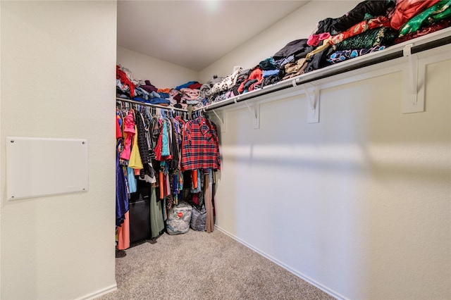 spacious closet with light colored carpet