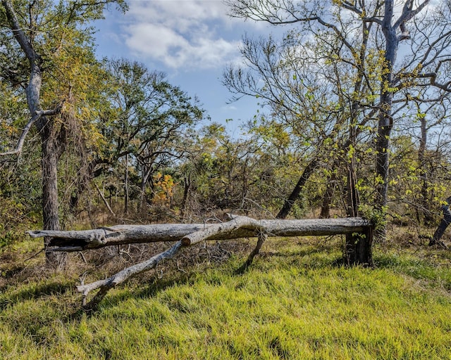 view of nature