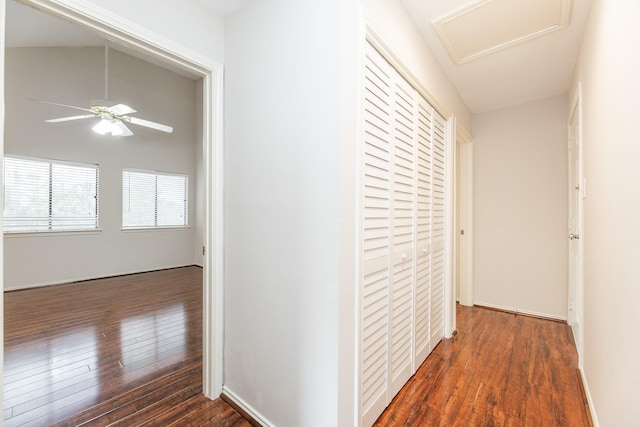 corridor featuring dark wood-type flooring