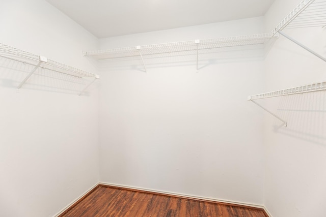 spacious closet with wood-type flooring