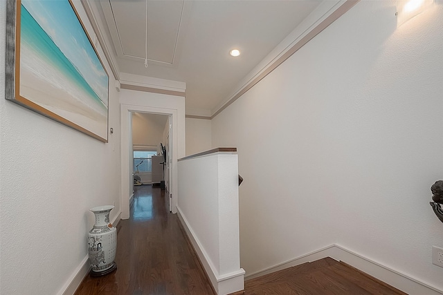 corridor with dark wood-type flooring and ornamental molding